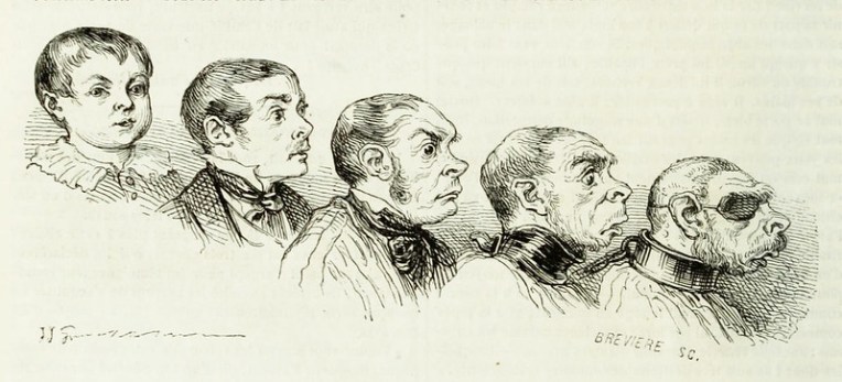 44205304184_63f786a652_c